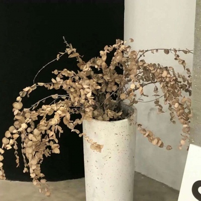 夏津福瑞交流群